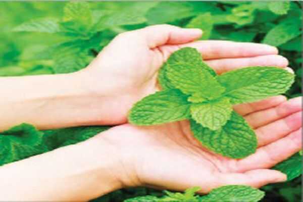 Vì sao tha thứ là phương thuốc nhiệm màu nhất để có được hạnh phúc?