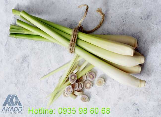 11 giải pháp chống muỗi, ngăn côn trùng đơn giản, hiệu quả