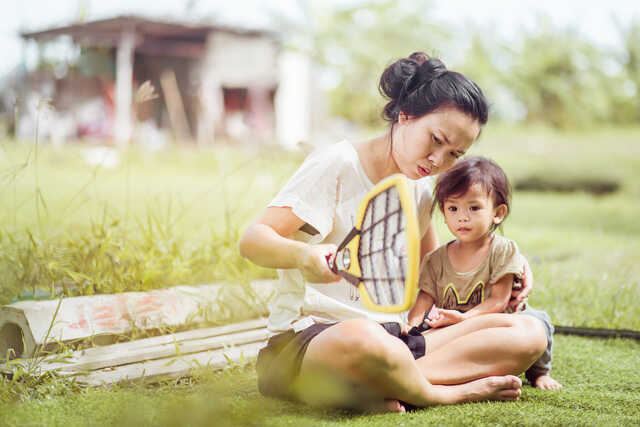 Nhà nhiều muỗi phải làm sao?